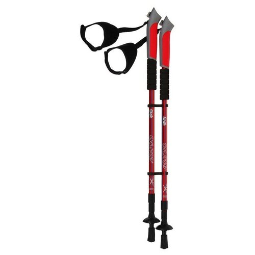 Палки для скандинавской ходьбы, телескопическая, 3 секции, до 135 см, (пара 2 шт), цвета микс
