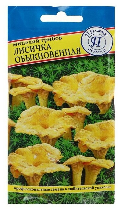 Мицелий грибов Лисичка обыкновенная 50 мл