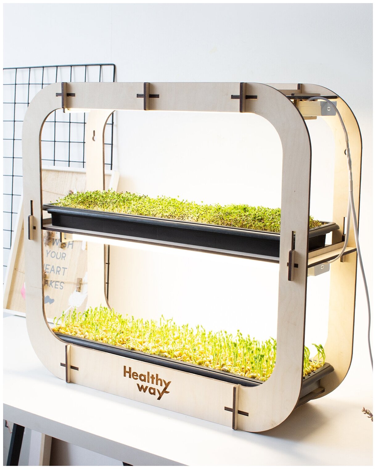 Healthy Way Набор для выращивания микрозелени дома Grass Box. Стеллаж для проращивания рассады и цветов на подоконнике - фотография № 8
