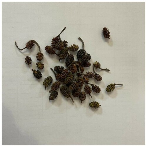 Шишки ольхи пустые (30 ШТ)