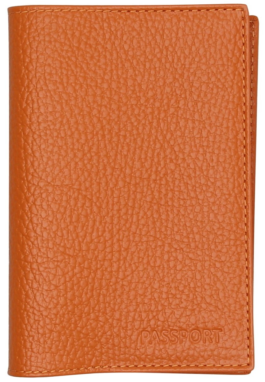 Обложка для паспорта