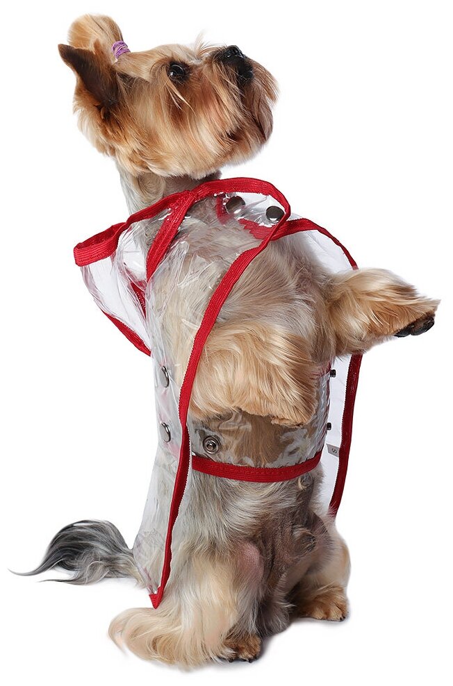 Дождевик для собак Монморанси "Дождевик прозрачный", цвет: красный, размер S, длина спины 22 см. - фотография № 6