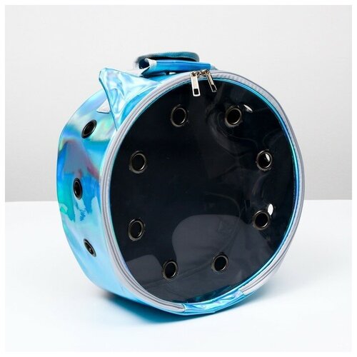 фото Рюкзак круглый для переноски животных, прозрачный, 26 см, голубой пижон