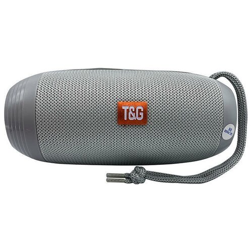 Беспроводная колонка TG-602 серая 100400₽