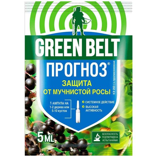 командор 25 25 мл грин бэлт Средство защиты и лечения болезней растений Прогноз Грин Бэлт от мучнистой росы, 5 мл