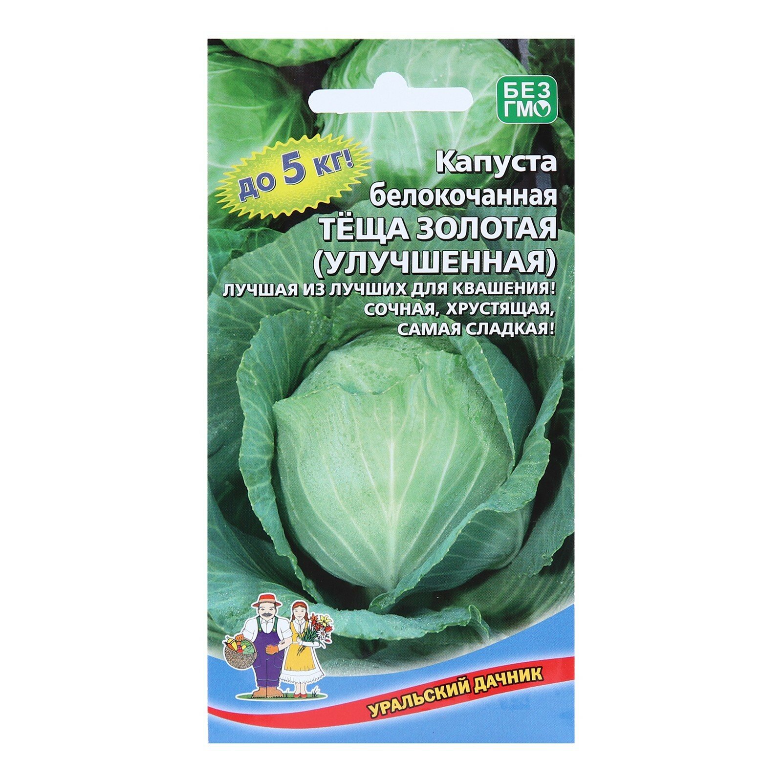 Капуста теща описание сорта фото Капуста теща описание сорта фото отзывы фото