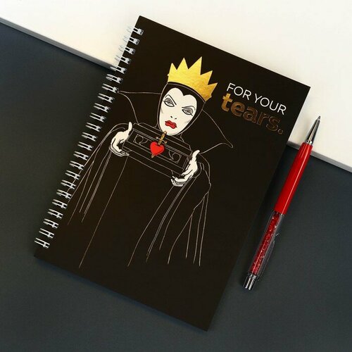 Подарочный набор ежедневник А5 For your tears на гребне 60 листов и ручка Villians 249₽