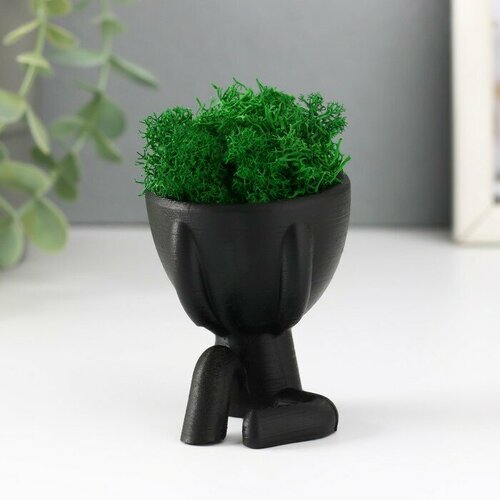 Кашпо бетонное мини Мистер Грин Мидзару со мхом черный 55х65х65 см мох зелен стабил 489₽
