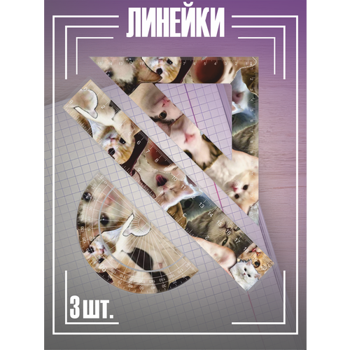 Канцелярия для школы набор линеек котики мем 599₽