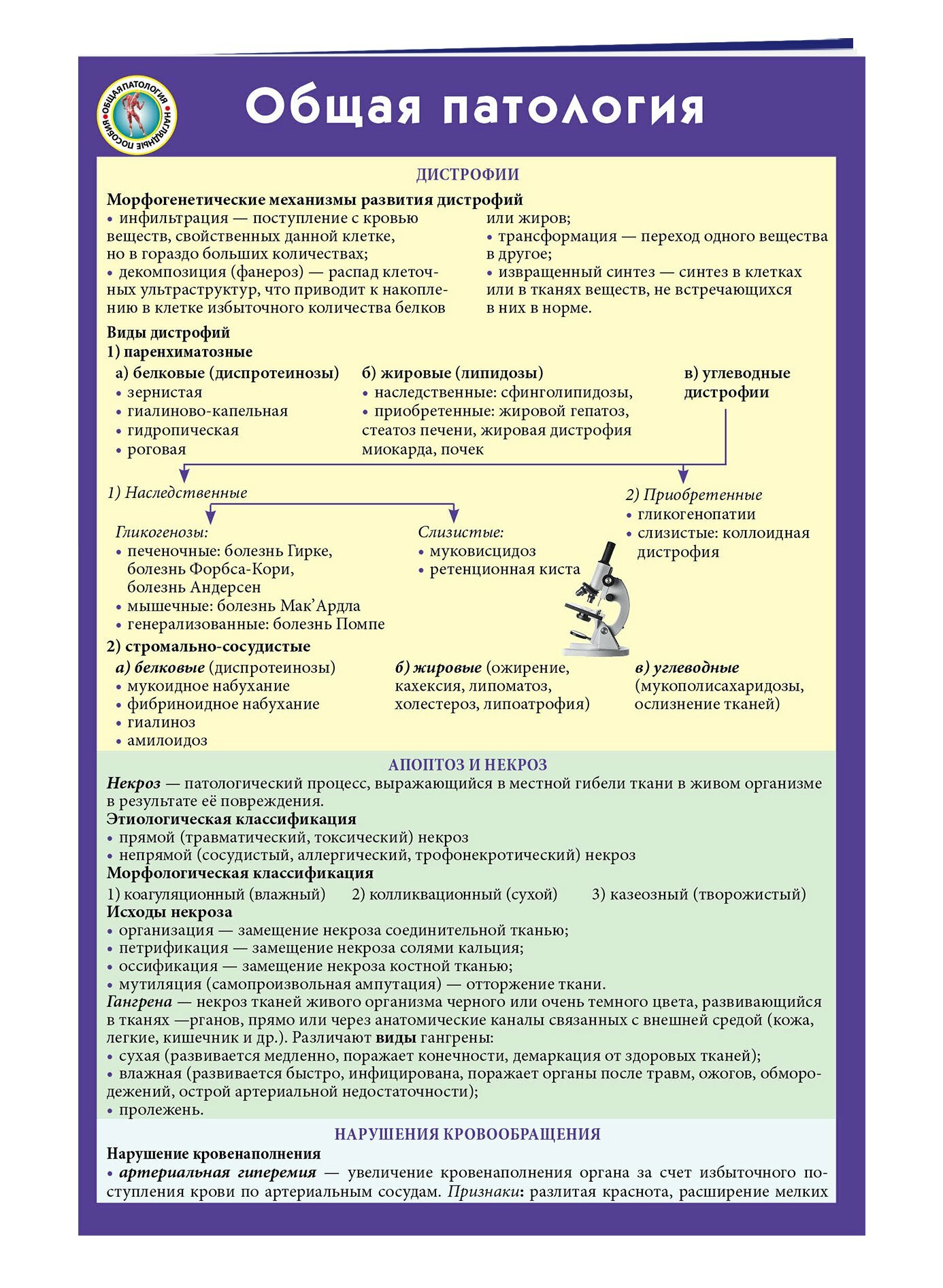 Общая патология — фото 1