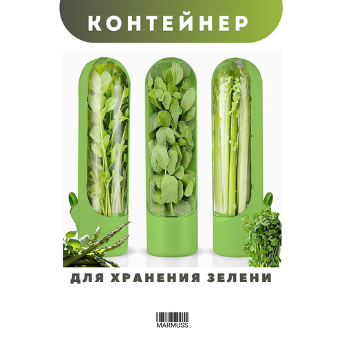 фото Контейнер для хранения зелени marmuss, 500 мл, зеленый, пластиковый, с крышкой и клапаном, для холодильника