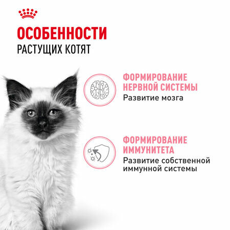 ROYAL CANIN KITTEN 5 х 85 г кусочки в соусе + KITTEN 5 х 85 г кусочки в желе мультипак, влажный корм для котят в возрасте до 12 месяцев — фото 1