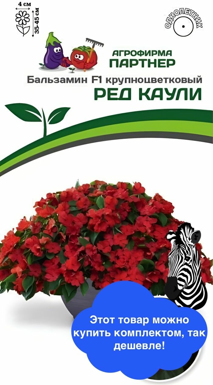 Цветы Бальзамин Уоллера крупноцветковый Ред Каули F1