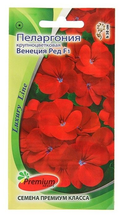Семена цветов Пеларгония крупноцветковая "Венеция Ред" F1, О, 5 шт - фотография № 1