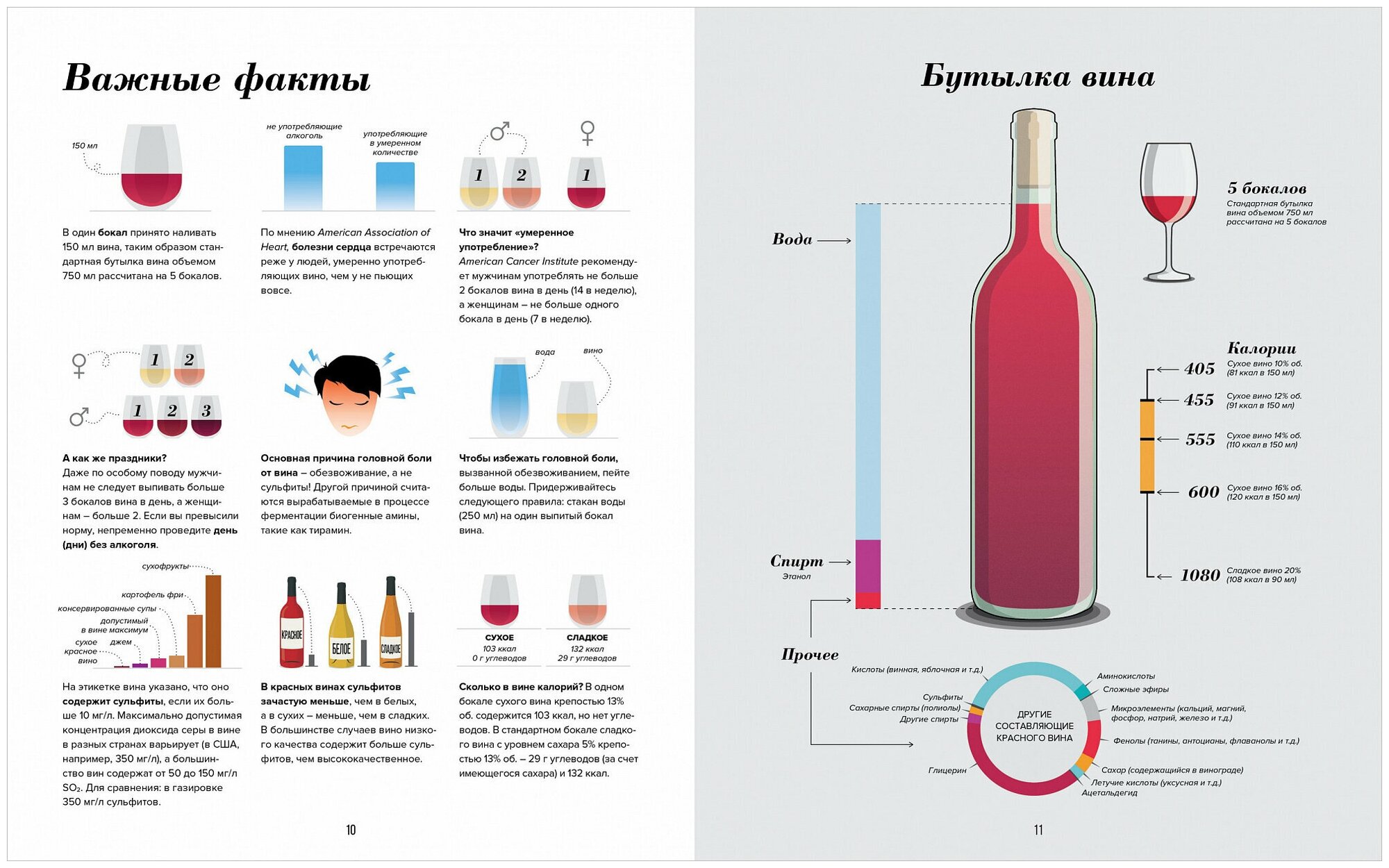 Wine Folly. Издание Магнум, детализированное - фото №7