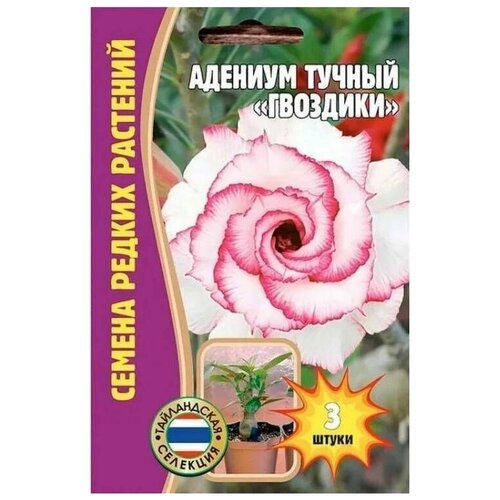 Адениум Тучный Гвоздики редкие семена (в заказе 2 упаковки по 3 сем.)