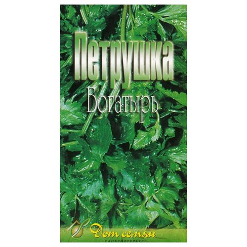 семена тмин аппетитный 115шт для дачи сада огорода теплицы рассады в домашних условиях Семена Петрушка Богатырь 420шт для дачи, сада, огорода, теплицы / рассады в домашних условиях