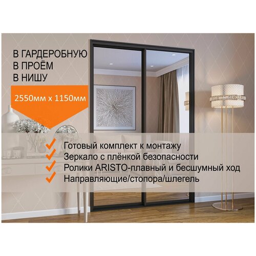 Двери для гардеробных и шкафов купе, зеркальные, в проём 2550х1150мм. Комплект 2шт.