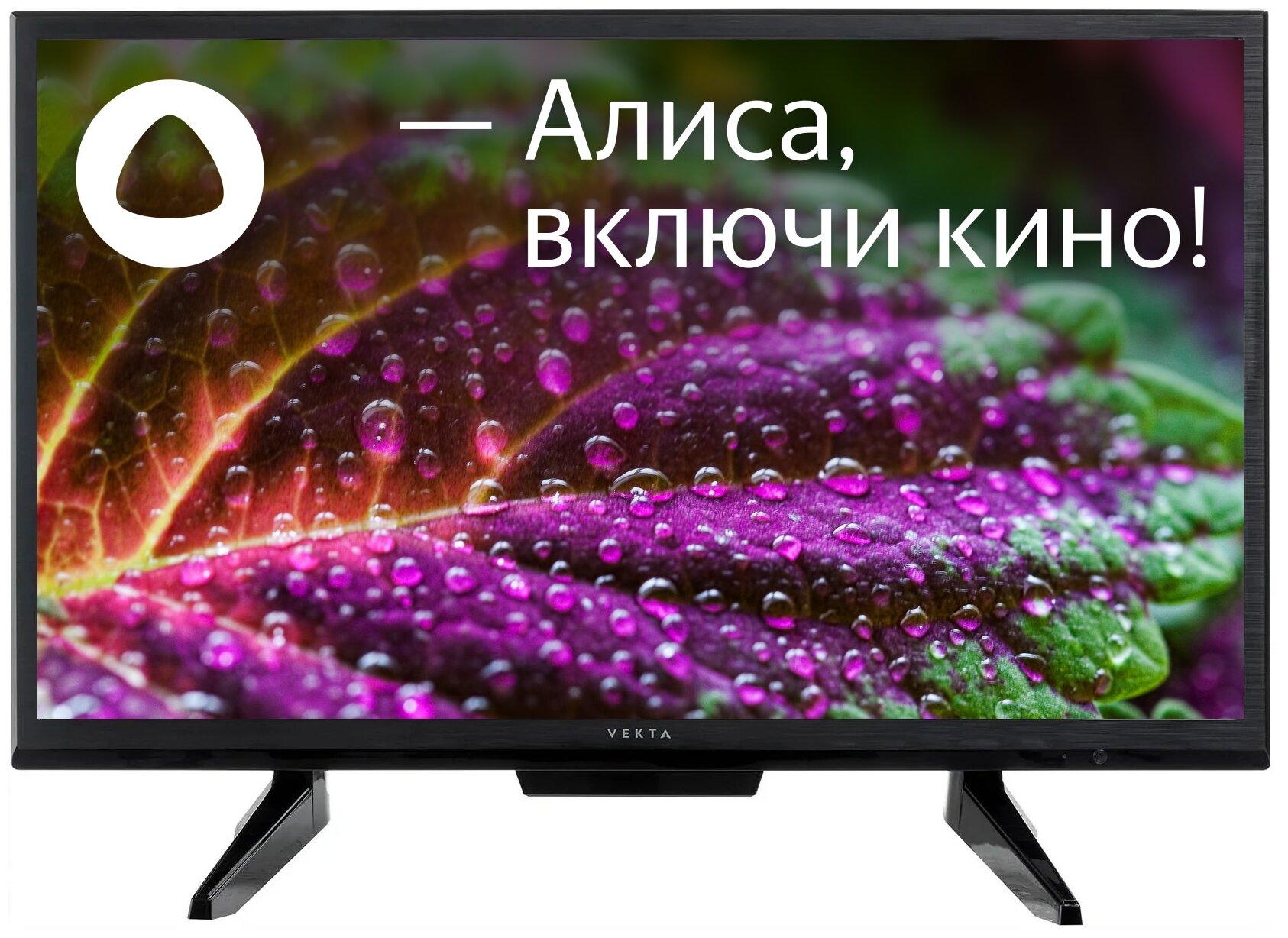 Телевизор LED VEKTA LD-24SR4715BS Smart TV