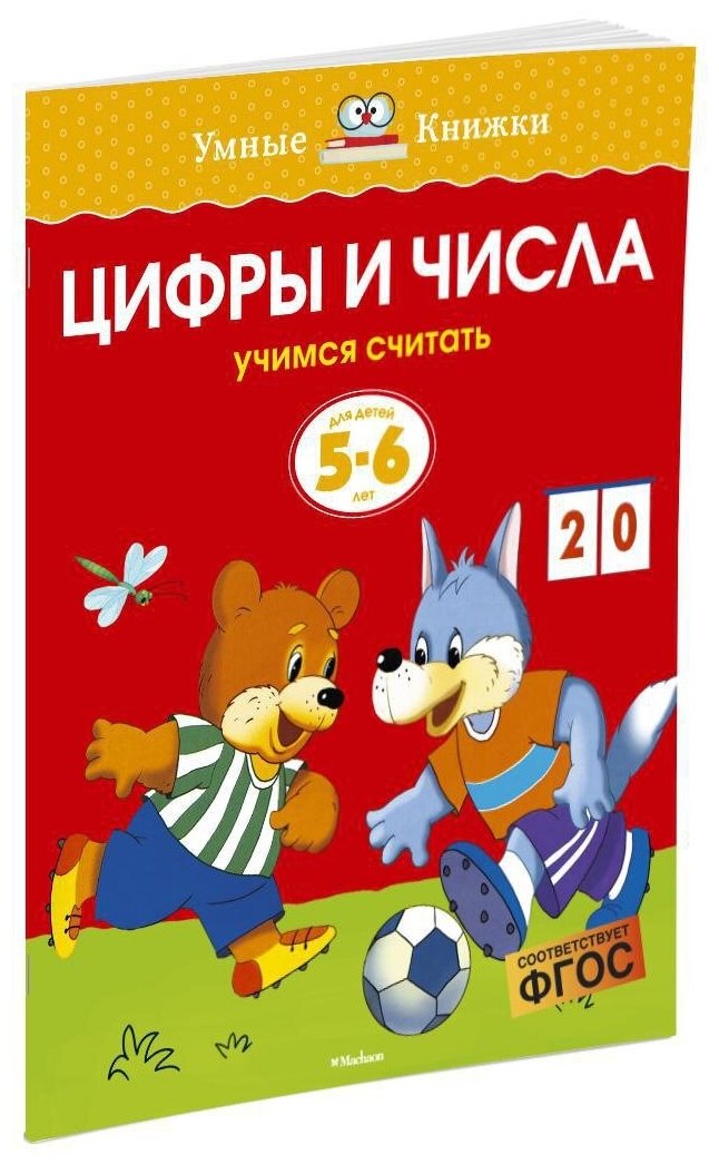 Книга Цифры и числа (5-6 лет)