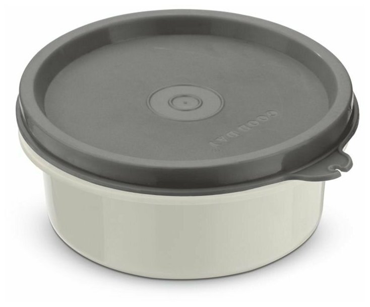 Ланч-бокс Good Day Micro Steel Grey объемом 025 л