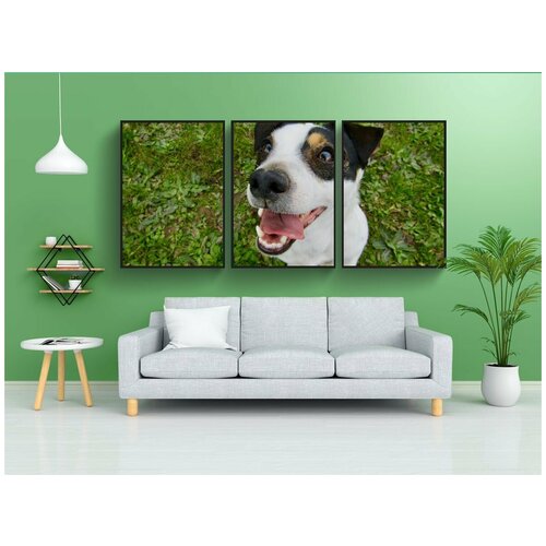 фото Набор модулных постеров для интерьера "джек рассел, собака, симпатичные" 60x90 см. в тубусе, без рамки lotsprints