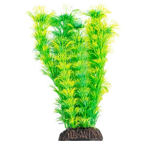 Laguna Растение для аквариума Амбулия (желто-зеленое), 19 см