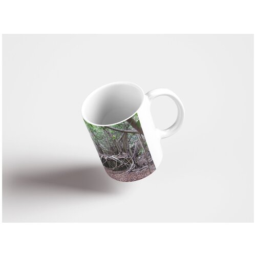 фото Кружка "природа, превосходить, успех 320 мл. белая" lotsprints