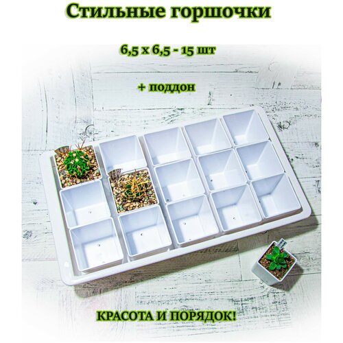 Стильные белые горшочки с поддоном (поддон с бортиками 40х22,5х7 см + горшки 6,5 см - 15 шт.)
