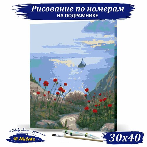 Картина по номерам на холсте MILATO Маки на скалах 30х40 см