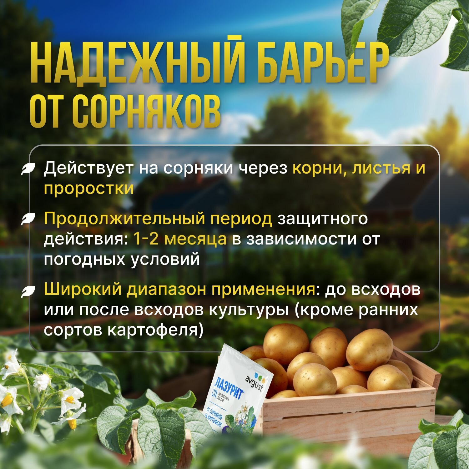 Лазурит (Avgust) средство от сорняков на картофеле 3шт по 20гр