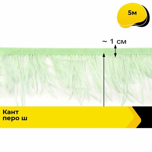 Перья кант перо (перья на ленте) для рукоделия и шитья, 5 м