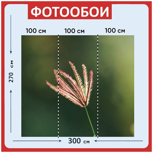 Фотообои Природа зеленый земля 300x270 см флизелиновыена стену 2960₽