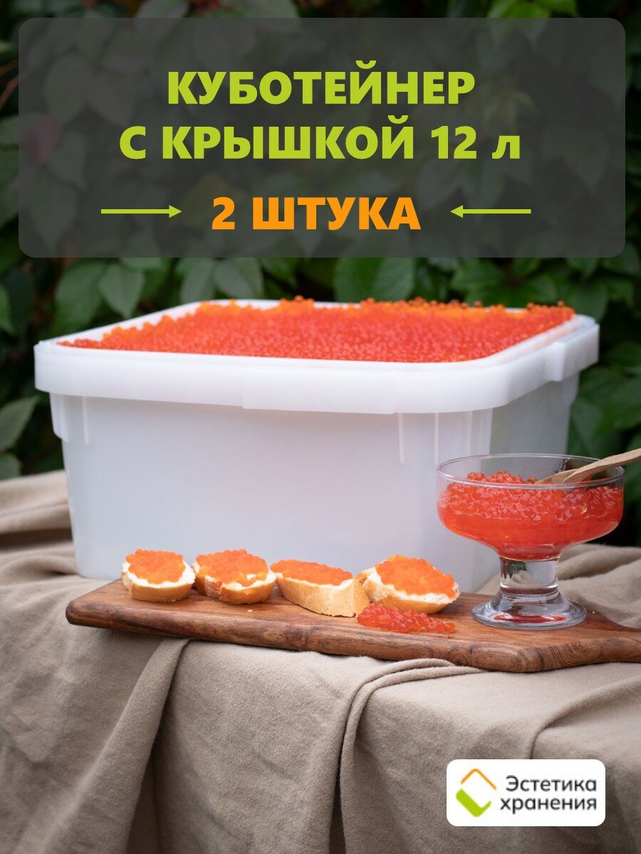 Куботейнер 12 литров (2 шт)