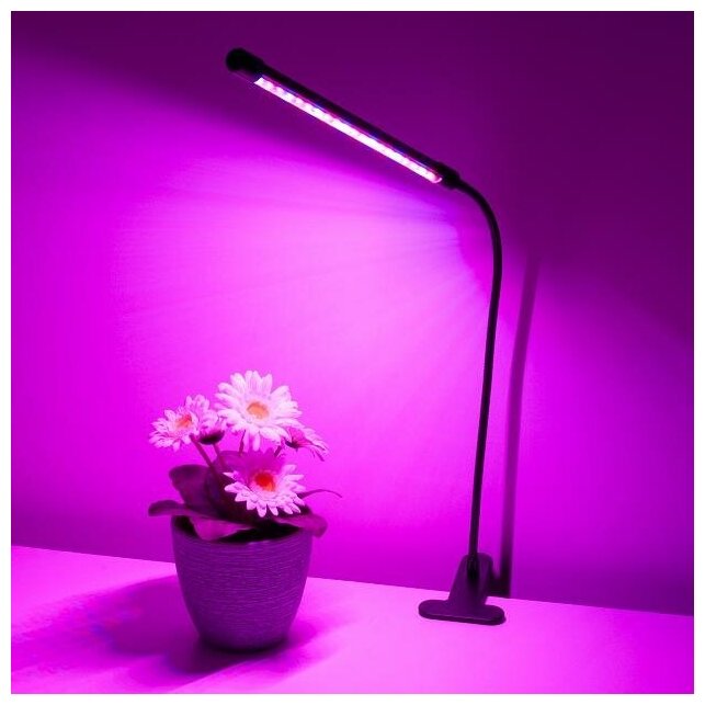 Фитолампа для растений 3 режима свечения / светильник светодиодный для растений / фитосветильник на прищепке / фито лампа для рассады - фотография № 11
