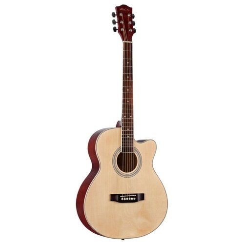 Акустическая гитара фолк PHIL PRO AS - 4004 / N (натуральный)