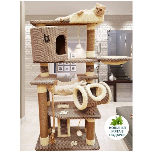 Домик для кошки когтеточка игровой комплекс для кошек