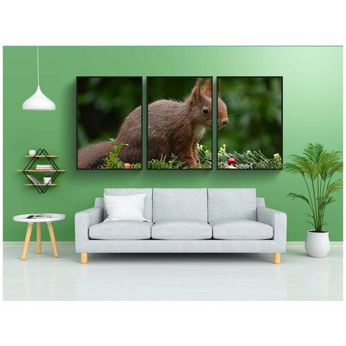 фото Набор модулных постеров для интерьера "животное, грызун, белка" 60x90 см. в тубусе, без рамки lotsprints