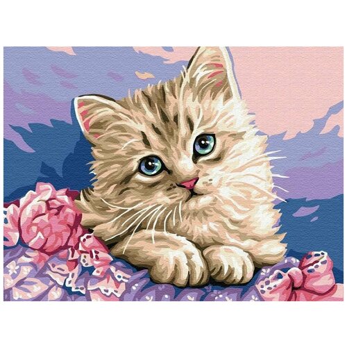 картина по номерам котик на сакуре 40x50 см Картина по номерам Милый котик, 40x50 см