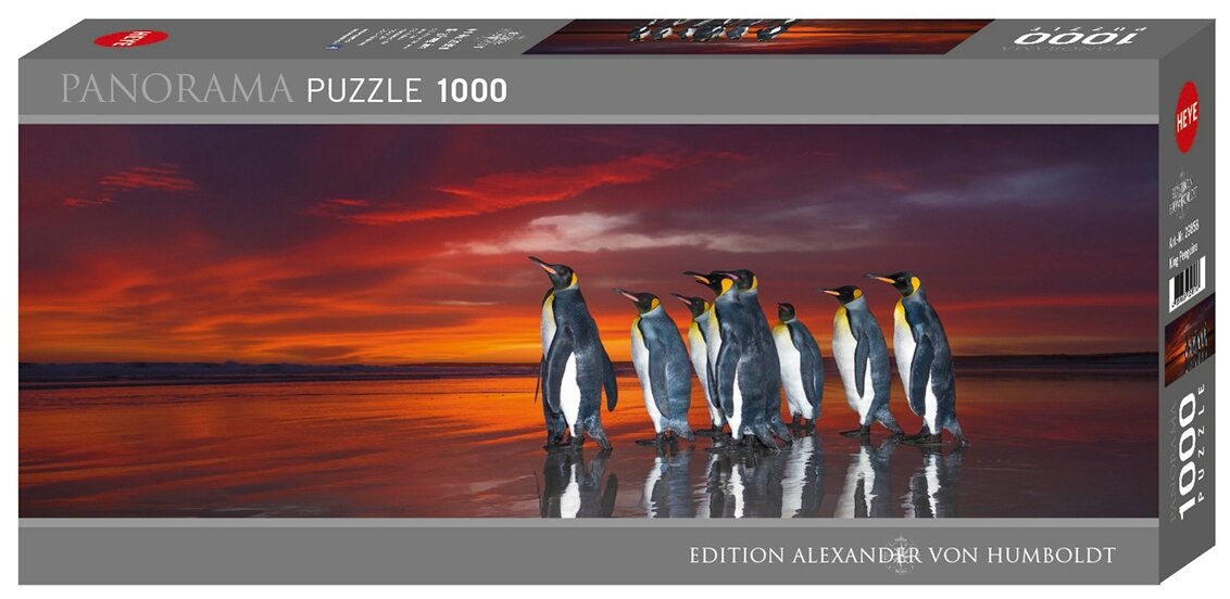 Puzzle-1000. Королевские пингвины, панорама (29858) HEYE - фото №1