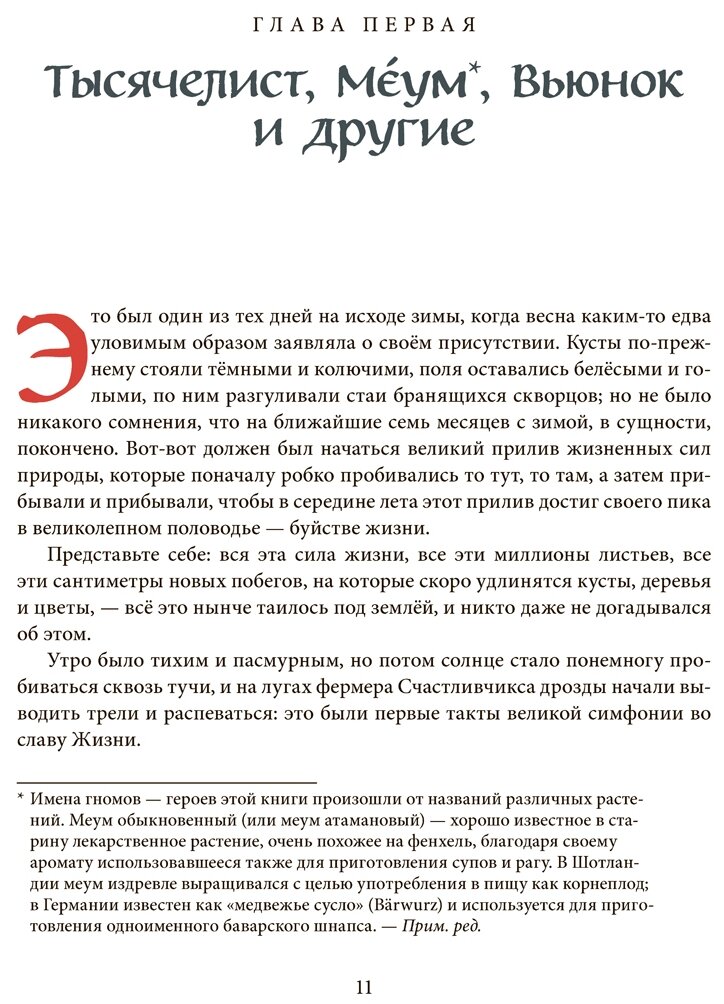 Вверх по Причуди и обратно. Удивительные приключения трех гномов - фото №2