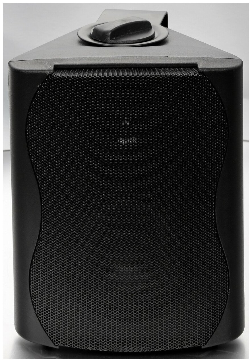 SVS Audiotechnik WS-20 Black громкоговоритель настенный, динамик 4", драйвер 0.5", цвет черный