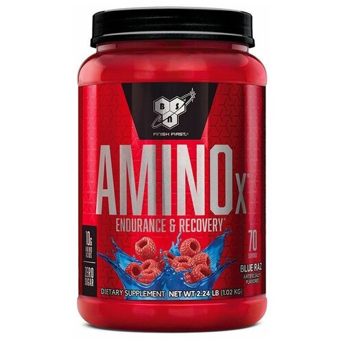 Bsn Amino X (1,02 кг) Голубика