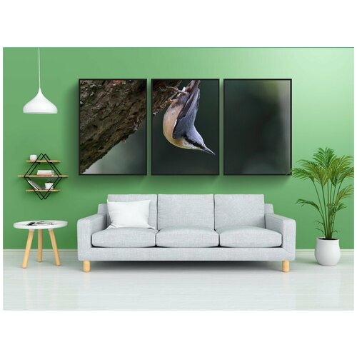 фото Набор модулных постеров для интерьера "поползень, птица, дикая природа" 60x90 см. в тубусе, без рамки lotsprints