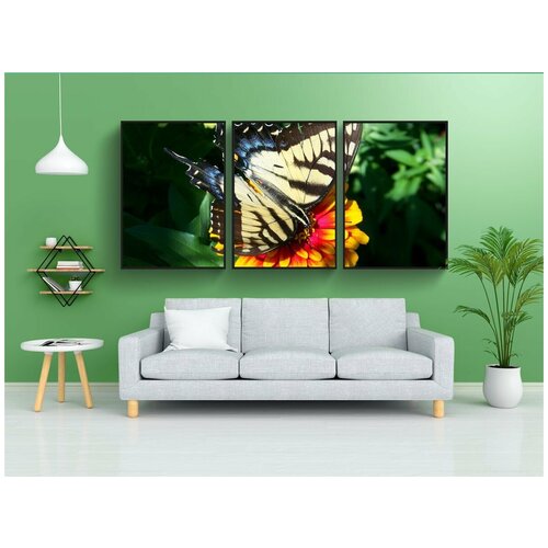 фото Набор модулных постеров для интерьера "дефицитный ласточкин хвост, бабочка, животное" 60x90 см. в тубусе, без рамки lotsprints