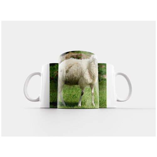 фото Кружка "овец, шерсть, овчина" 320 мл lotsprints