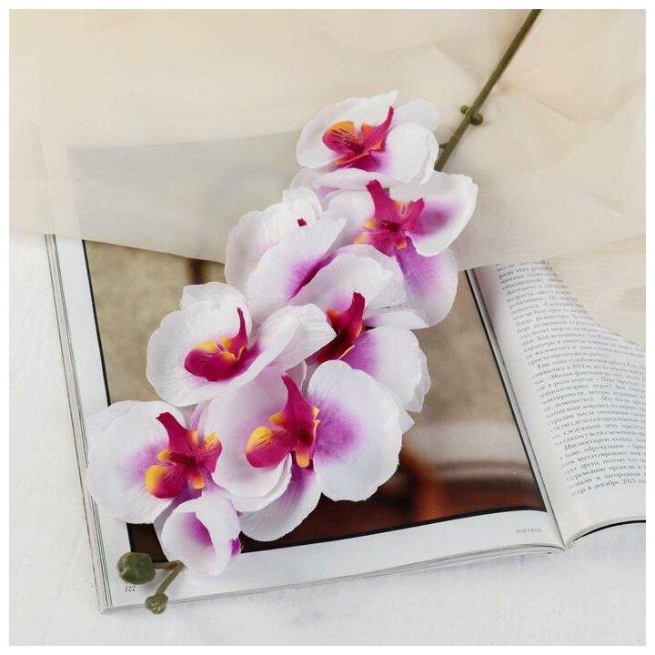 Цветы искусственные "Орхидея молди" 9х66 см, бело-фиолетовый 2578240
