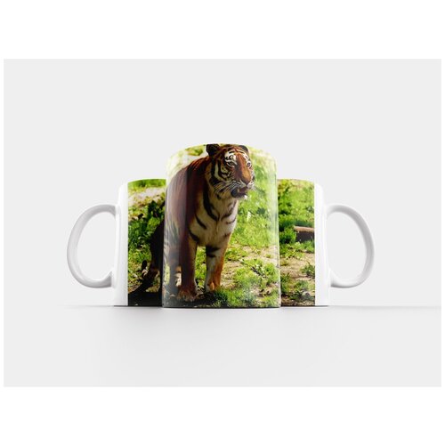 фото Кружка "тигр, хищник, шерсть" 320 мл lotsprints
