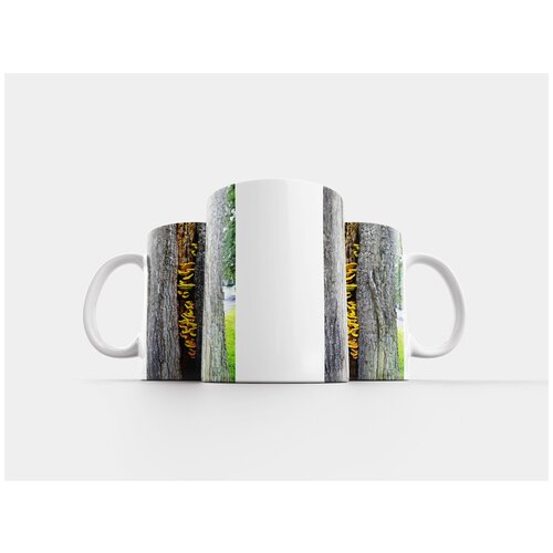 фото Кружка "дерево, дуб, старый" 320 мл lotsprints