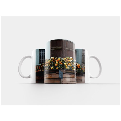 фото Кружка "тыквы, декоративные тыквы, место хранения" 320 мл lotsprints